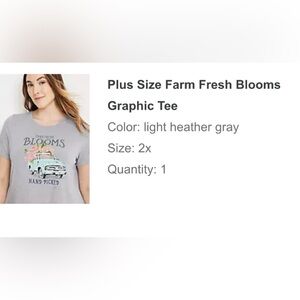 Maurices graphic tee, 2X